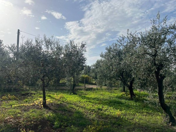 terreno agricolo in vendita a Lanuvio in zona Malcavallo
