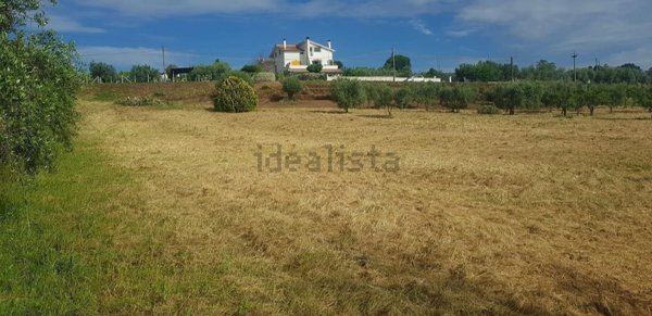 terreno agricolo in vendita a Lanuvio in zona Sambuco