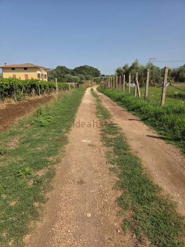 terreno agricolo in vendita a Lanuvio in zona Malcavallo