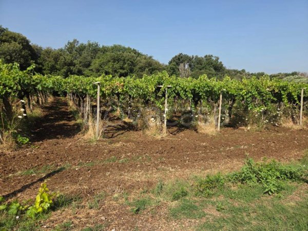 terreno agricolo in vendita a Lanuvio in zona Malcavallo