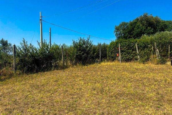 terreno agricolo in vendita a Lanuvio