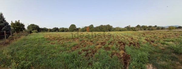 terreno agricolo in vendita a Lanuvio