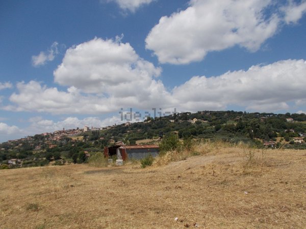 terreno agricolo in vendita a Lanuvio