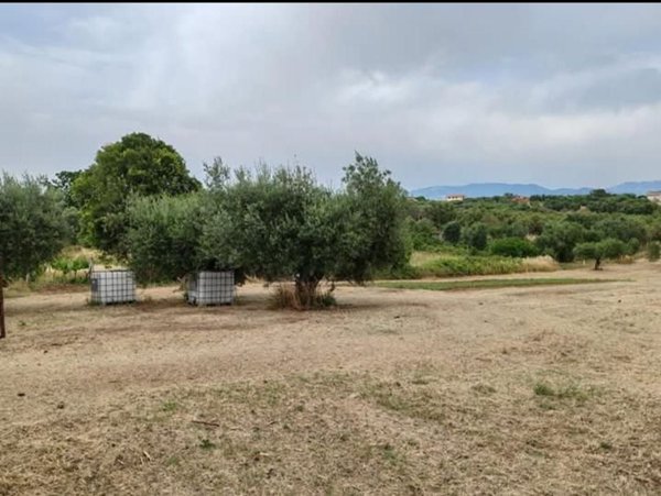 terreno agricolo in vendita a Lanuvio
