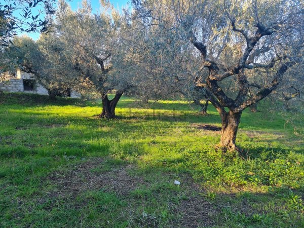 appartamento in vendita a Lanuvio