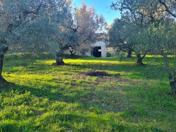 appartamento in vendita a Lanuvio in zona Monte Giove