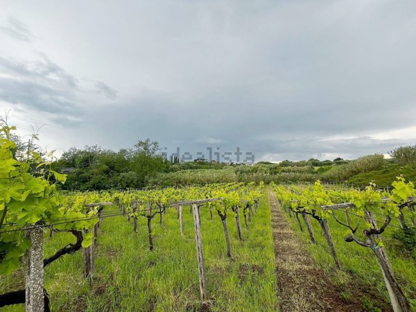 terreno agricolo in vendita a Lanuvio