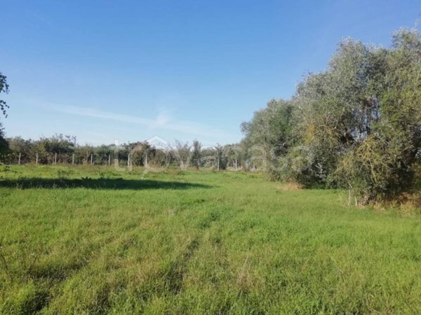 terreno agricolo in vendita a Lanuvio in zona Malcavallo