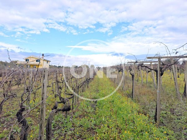 terreno agricolo in vendita a Lanuvio