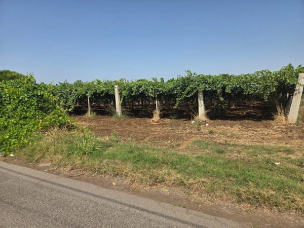 terreno agricolo in vendita a Lanuvio