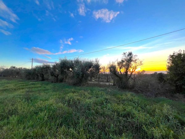 terreno agricolo in vendita a Lanuvio in zona Sambuco