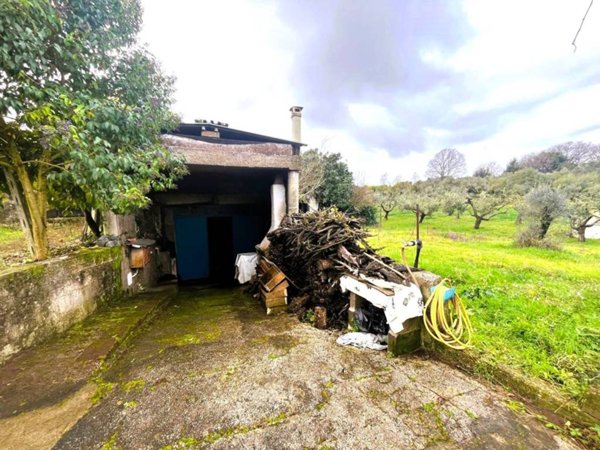 terreno agricolo in vendita a Lanuvio