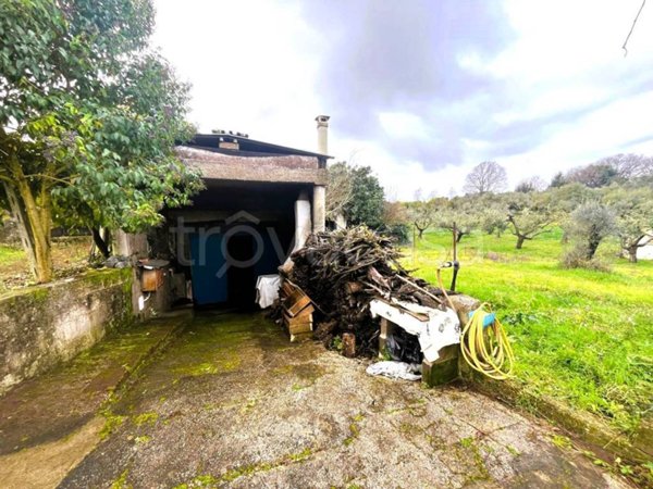 terreno agricolo in vendita a Lanuvio
