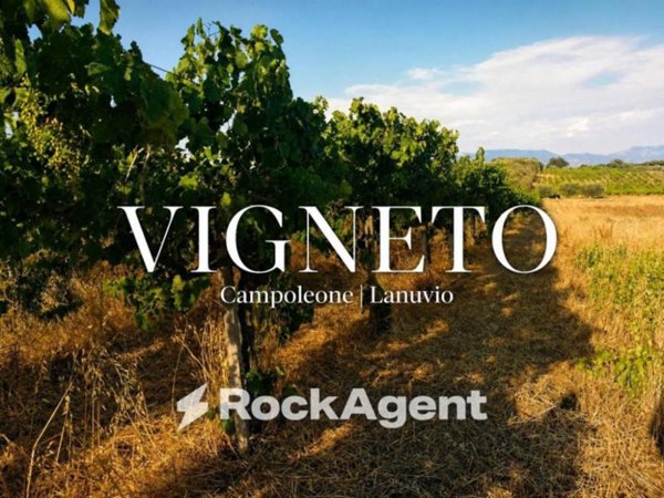 terreno agricolo in vendita a Lanuvio