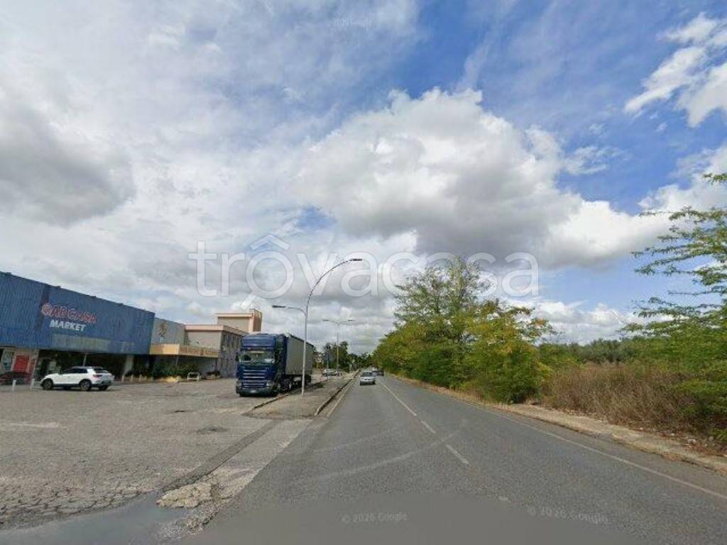 azienda agricola in vendita a Lanuvio