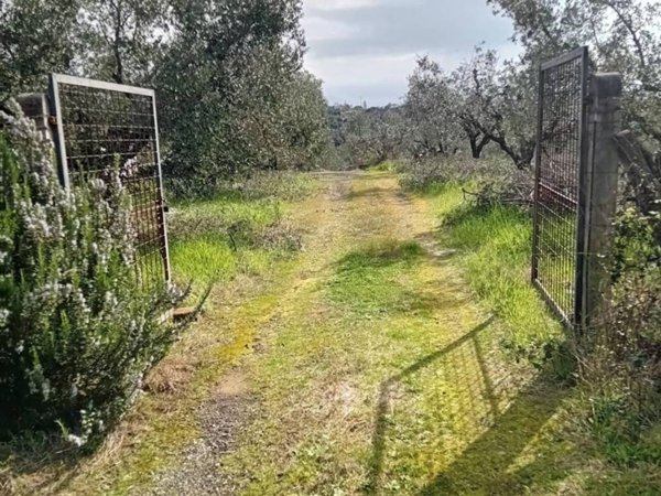 terreno agricolo in vendita a Lanuvio in zona Stragonello