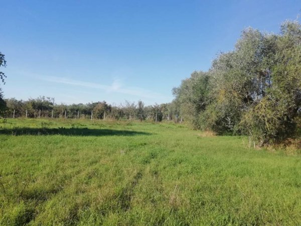 terreno agricolo in vendita a Lanuvio in zona Malcavallo