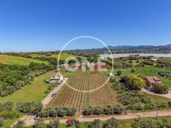 terreno agricolo in vendita a Lanuvio