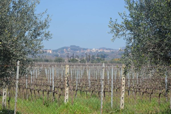 azienda agricola in vendita a Lanuvio