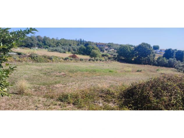 terreno agricolo in vendita a Lanuvio