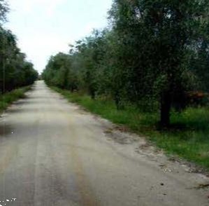 terreno edificabile in vendita a Lanuvio