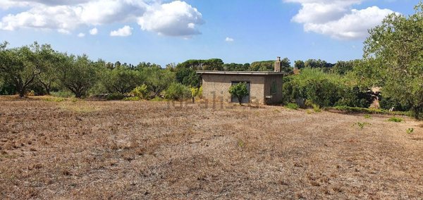 terreno agricolo in vendita a Lanuvio