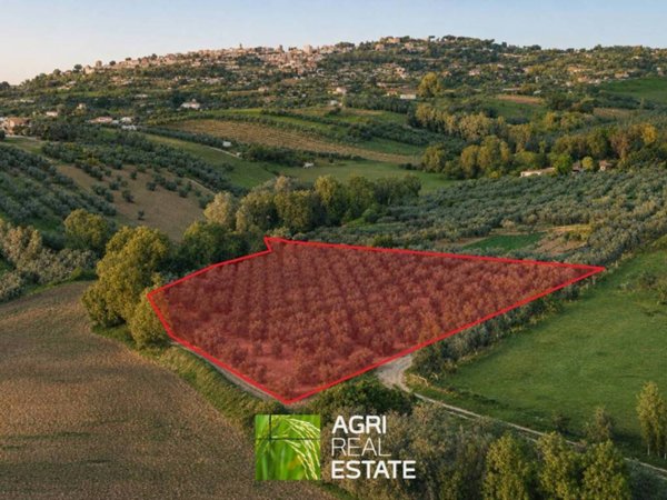terreno agricolo in vendita a Lanuvio in zona Stragonello