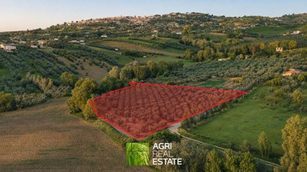 terreno agricolo in vendita a Lanuvio
