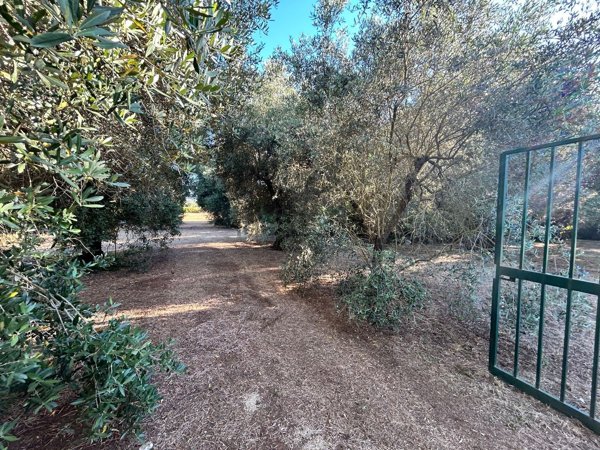 terreno agricolo in vendita a Lanuvio in zona Pascolare