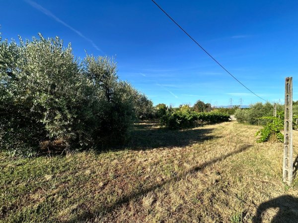 terreno agricolo in vendita a Lanuvio in zona Malcavallo