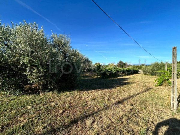 terreno agricolo in vendita a Lanuvio