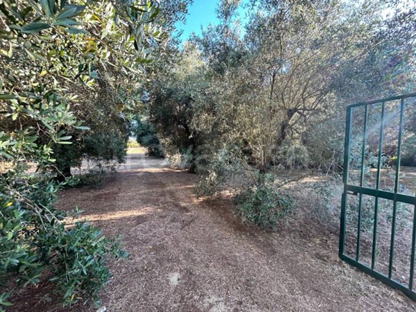 terreno agricolo in vendita a Lanuvio