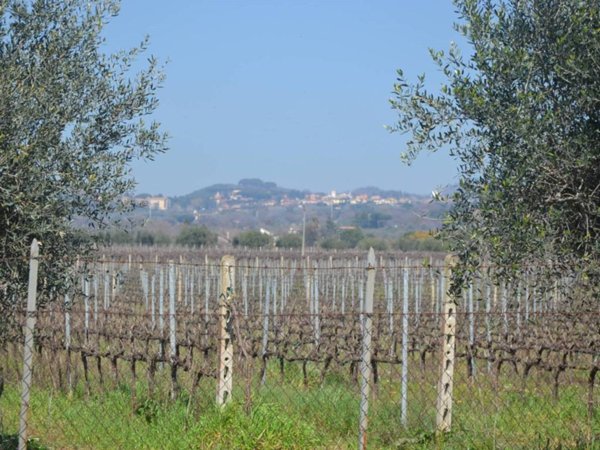 terreno agricolo in vendita a Lanuvio in zona Monte Giove