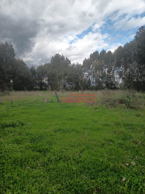 terreno agricolo in vendita a Lanuvio