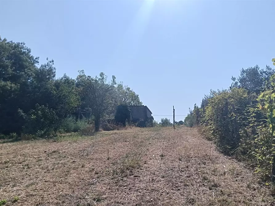 terreno agricolo in vendita a Lanuvio