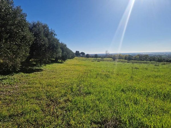terreno agricolo in vendita a Lanuvio in zona Monte Giove