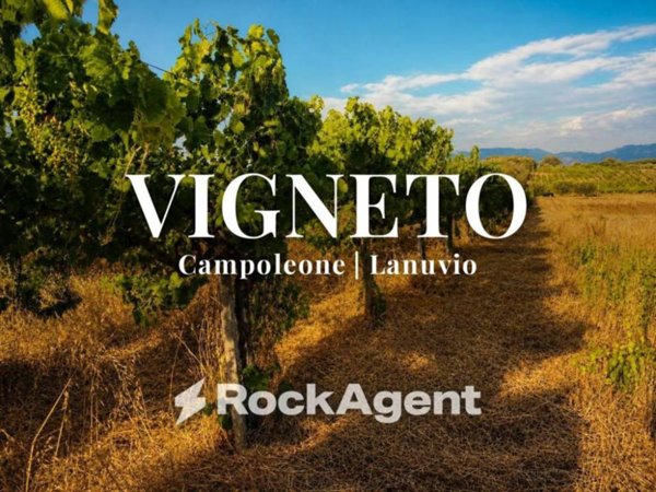 terreno agricolo in vendita a Lanuvio