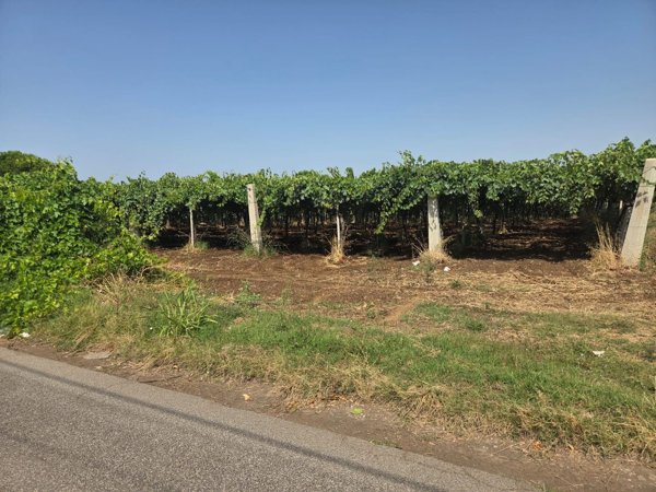 terreno in vendita a Lanuvio in zona Monte Giove