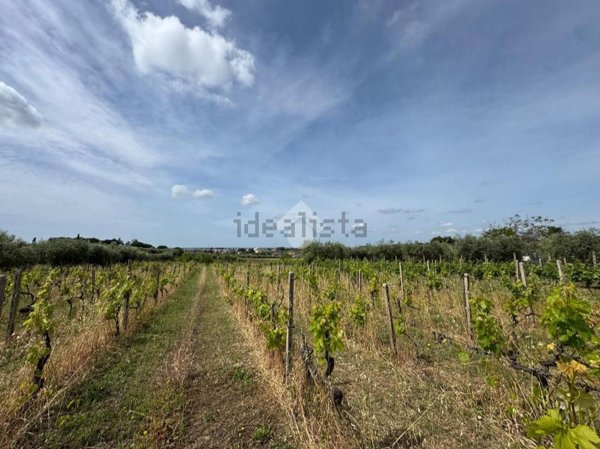 terreno agricolo in vendita a Lanuvio in zona Monte Giove