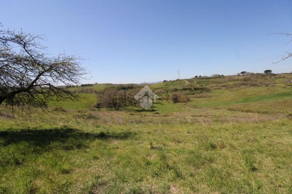 terreno agricolo in vendita a Magliano Romano