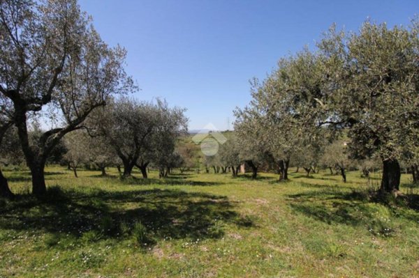 negozio in vendita a Magliano Romano