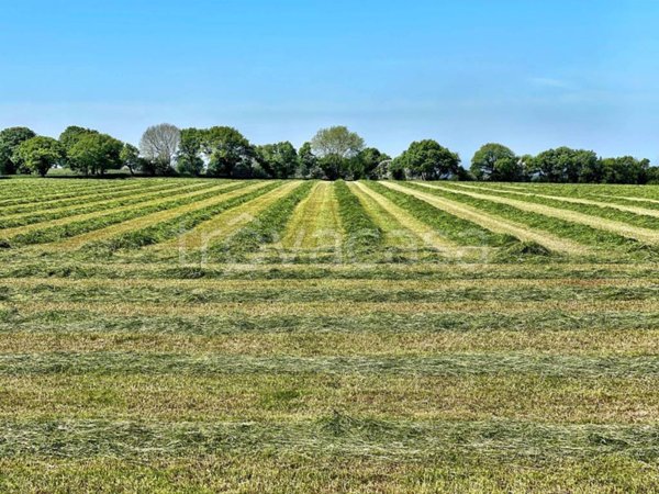 terreno agricolo in vendita a Mandela