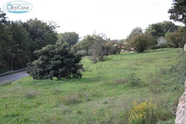 villa in vendita a Manziana