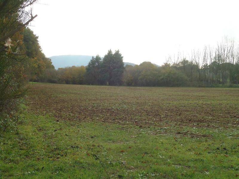 terreno agricolo in vendita a Manziana