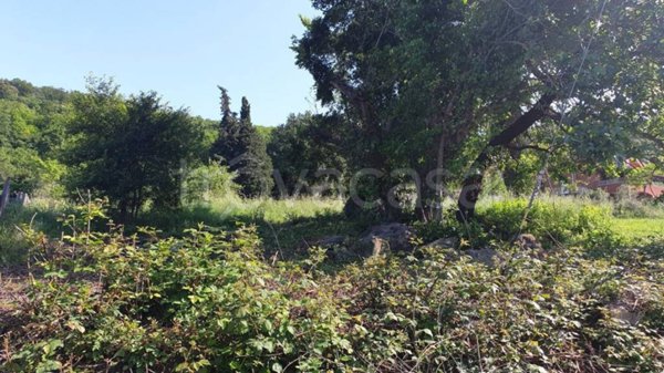 terreno agricolo in vendita a Manziana