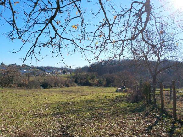 terreno agricolo in vendita a Manziana