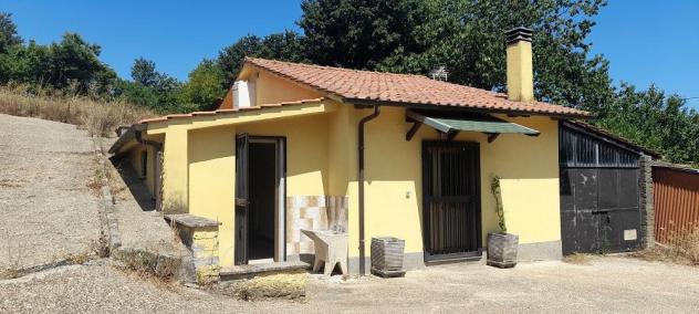 appartamento in vendita a Manziana