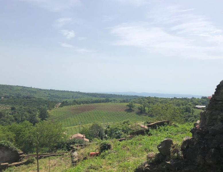 casa indipendente in vendita a Manziana
