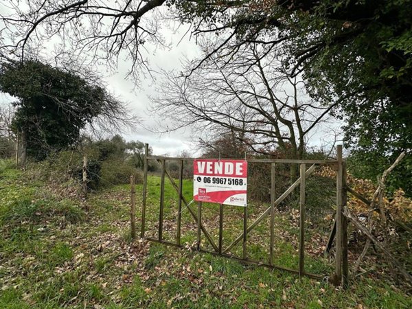 terreno agricolo in vendita a Manziana
