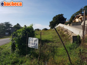 villa in vendita a Manziana